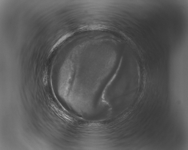 X0000085081306200703261247