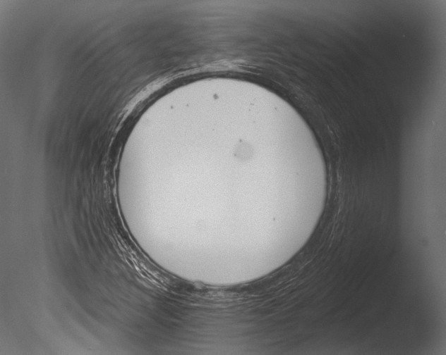 X0000085081308200703261247