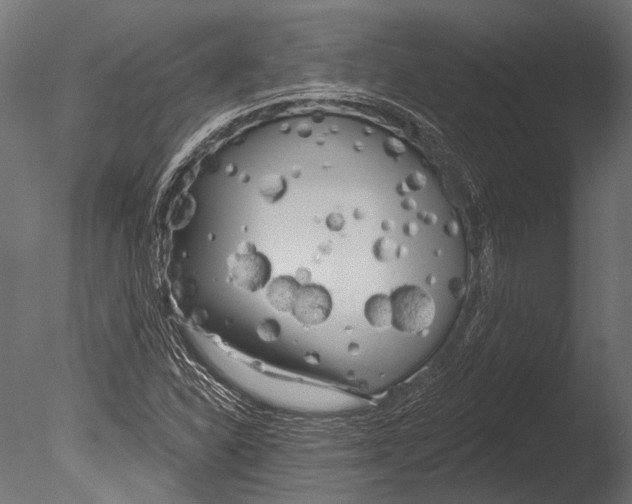 X0000085081310200703261247