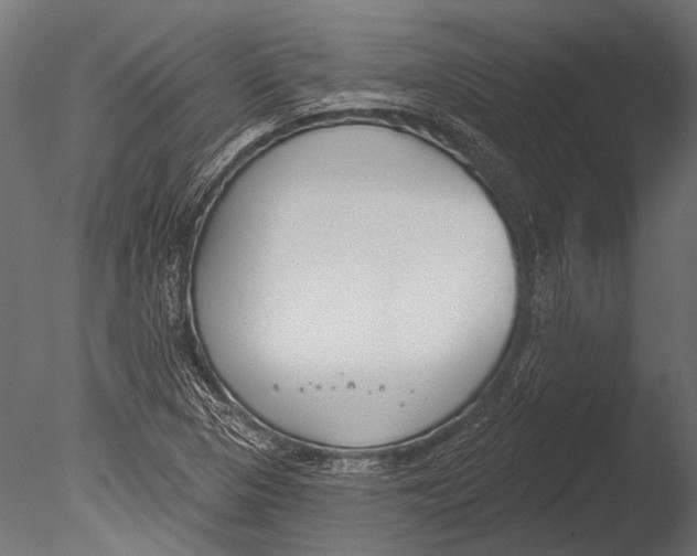 X0000085081313200703261247