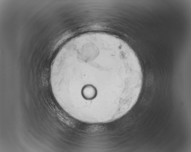 X0000085081314200703261247