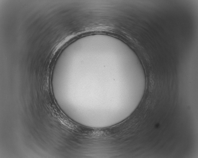 X0000085081316200703261247