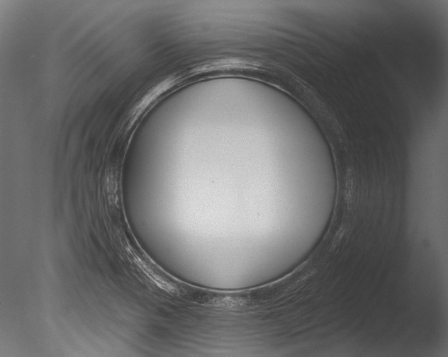 X0000085081321200703261248