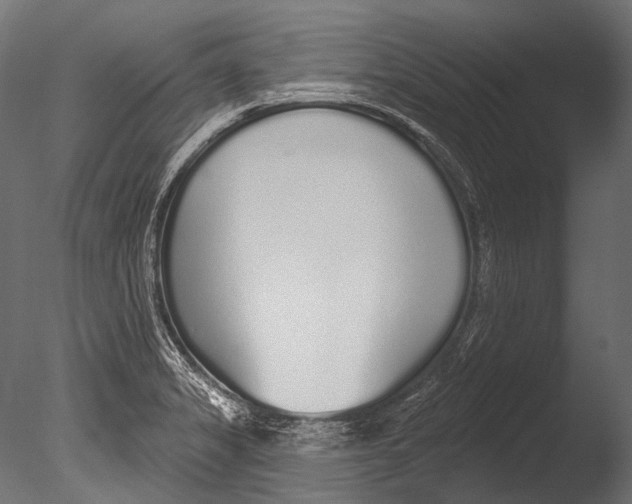 X0000085081325200703261248