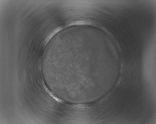 X0000085081329200703261248