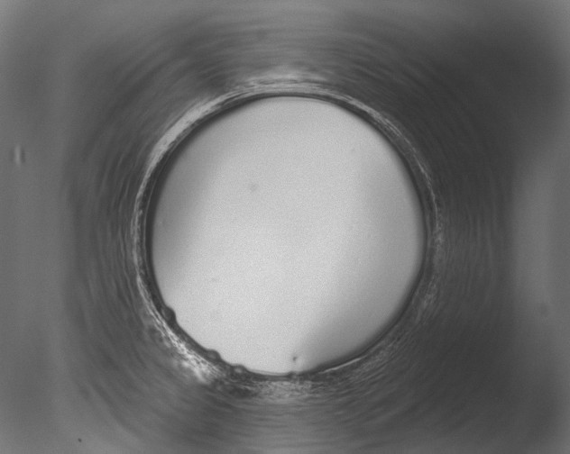 X0000085081333200703261248