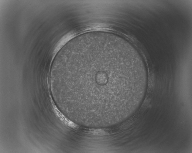 X0000085081338200703261248