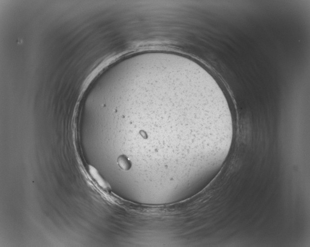 X0000085081341200703261248