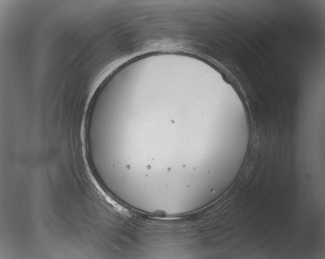 X0000085081343200703261248