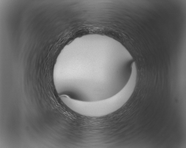 X0000085081345200703261247