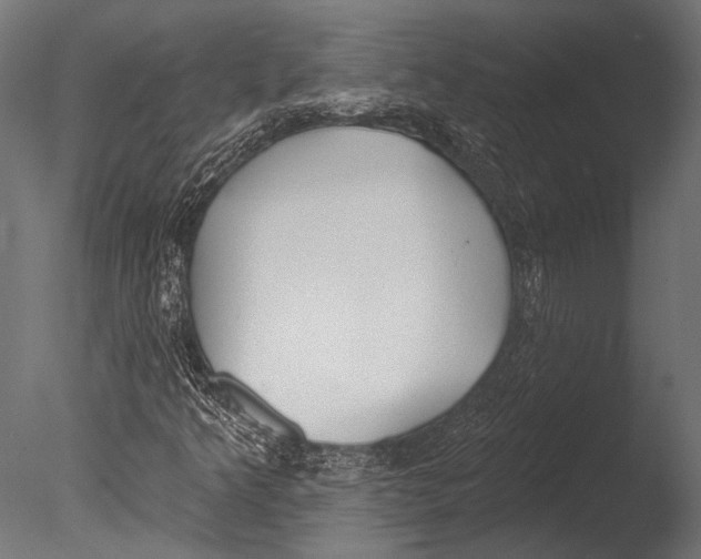 X0000085081349200703261247