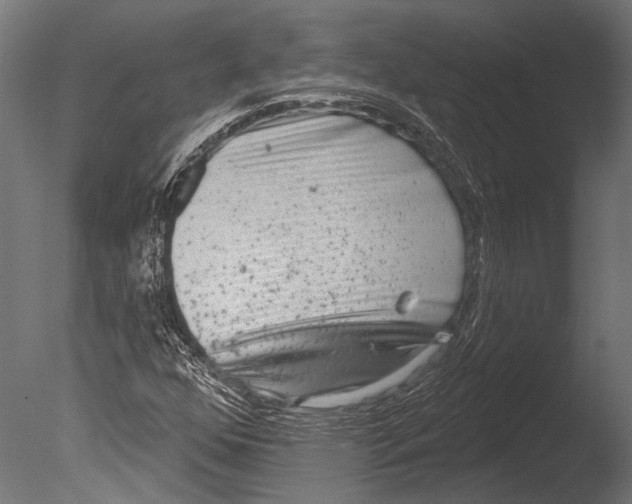 X0000085081352200703261247