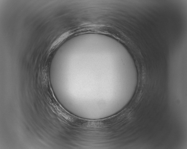 X0000085081354200703261247