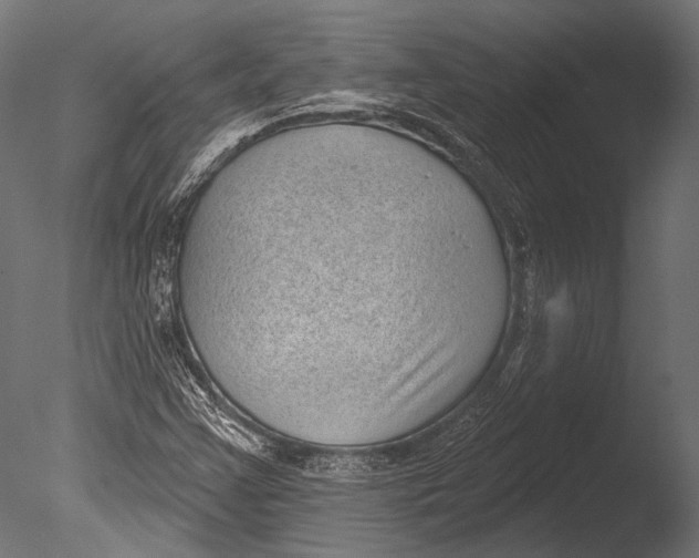 X0000085081355200703261247