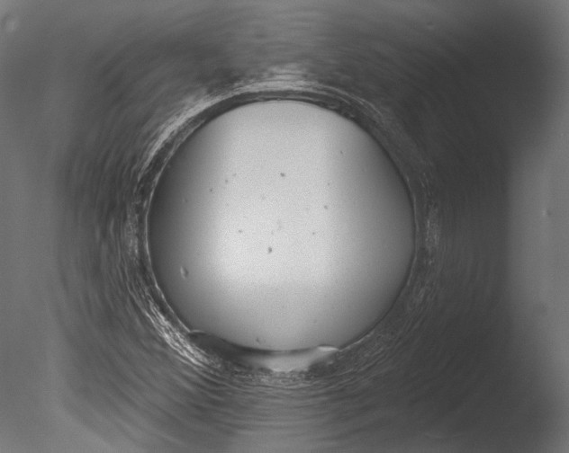 X0000085081356200703261247