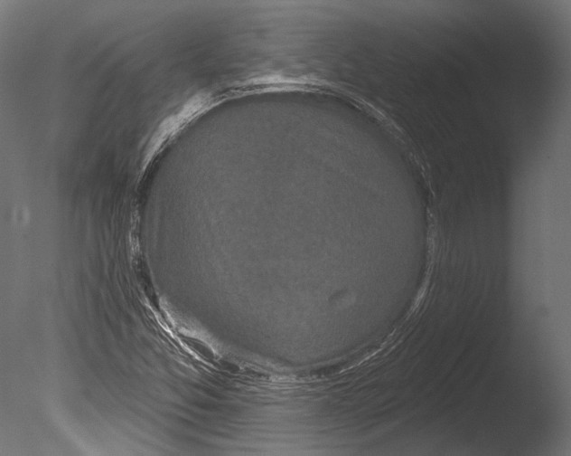 X0000085081357200703261247