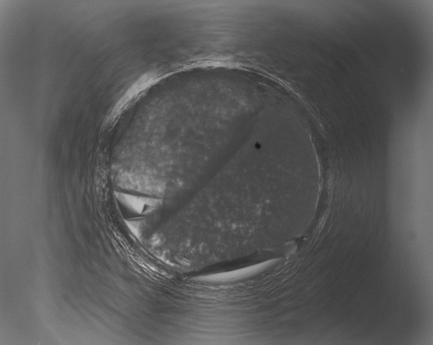 X0000085081359200703261247