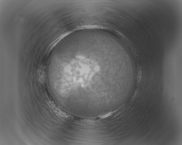 X0000085081361200703261247