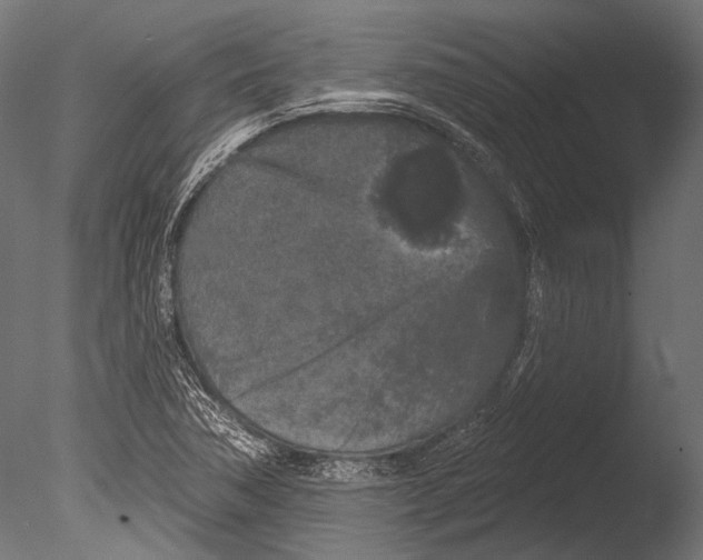 X0000085081362200703261247