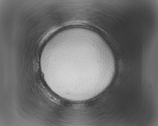 X0000085081363200703261247