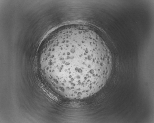 X0000085081364200703261247