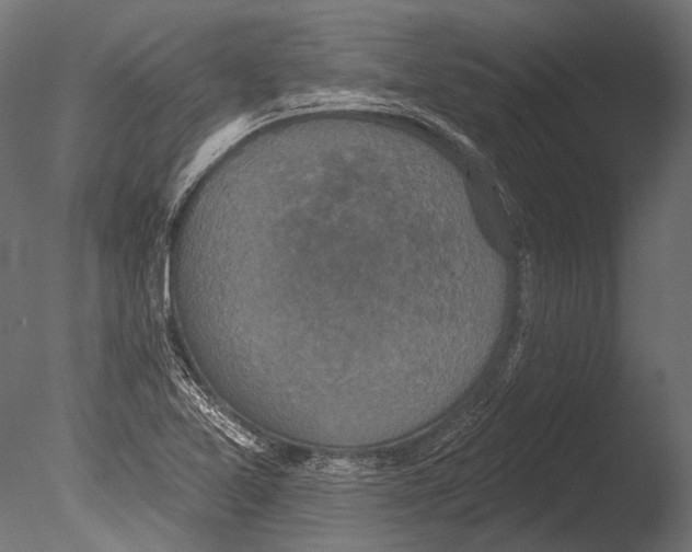 X0000085081365200703261247