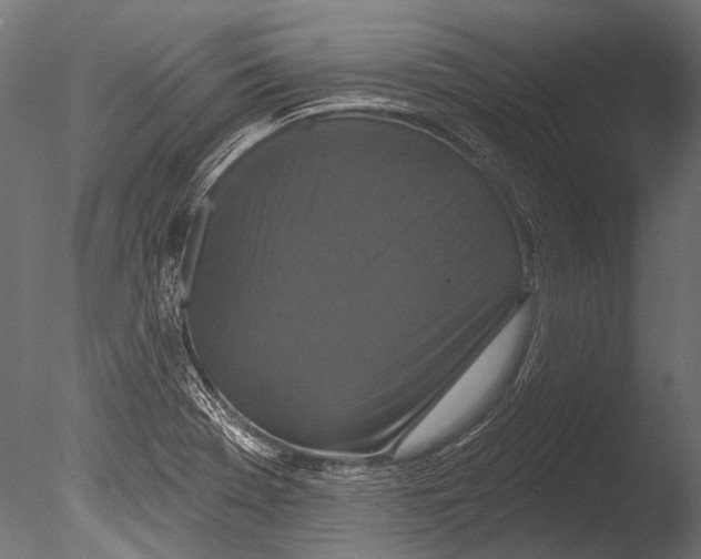 X0000085081369200703261247