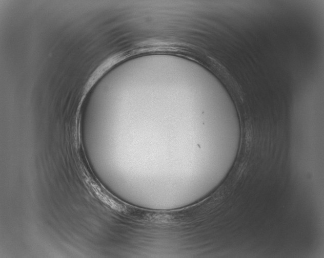 X0000085081370200703261247