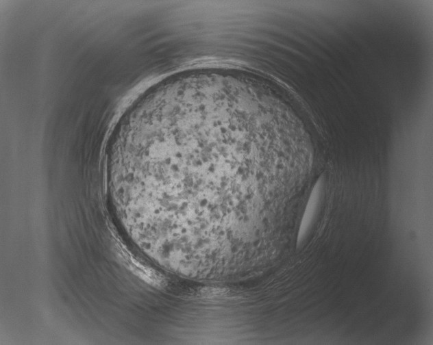 X0000085081371200703261247