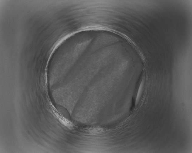 X0000085081372200703261247