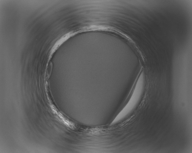 X0000085081373200703261247