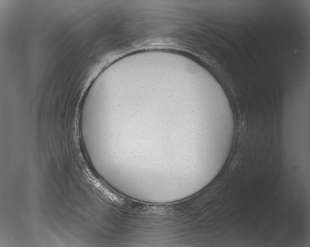 X0000085081374200703261247