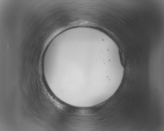 X0000085081375200703261247