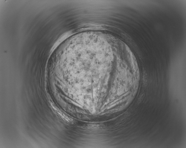 X0000085081378200703261247