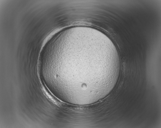 X0000085081379200703261247