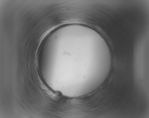 X0000085081380200703261247