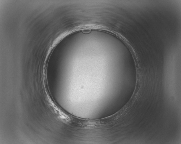 X0000085081381200703261246