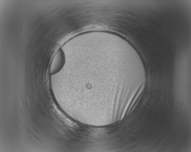 X0000085081382200703261246