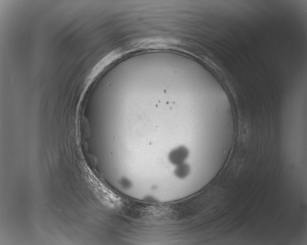 X0000085081384200703261246