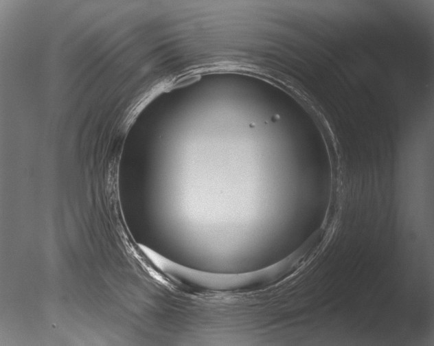 X0000085081385200703261246