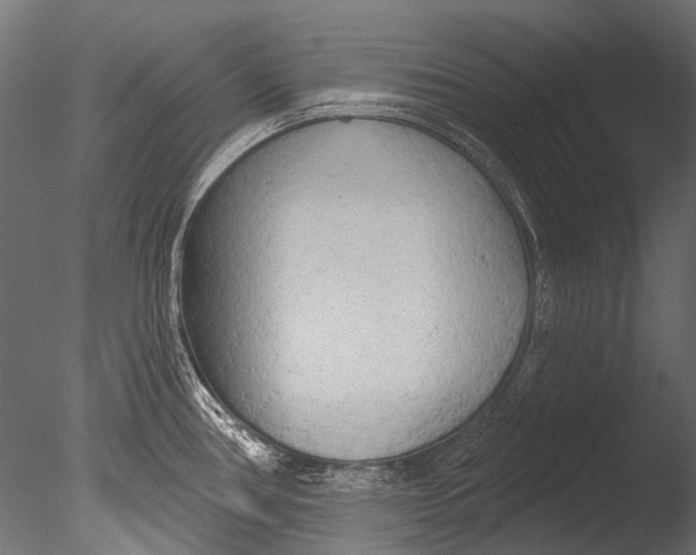 X0000085081386200703261246