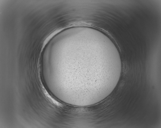 X0000085081387200703261246