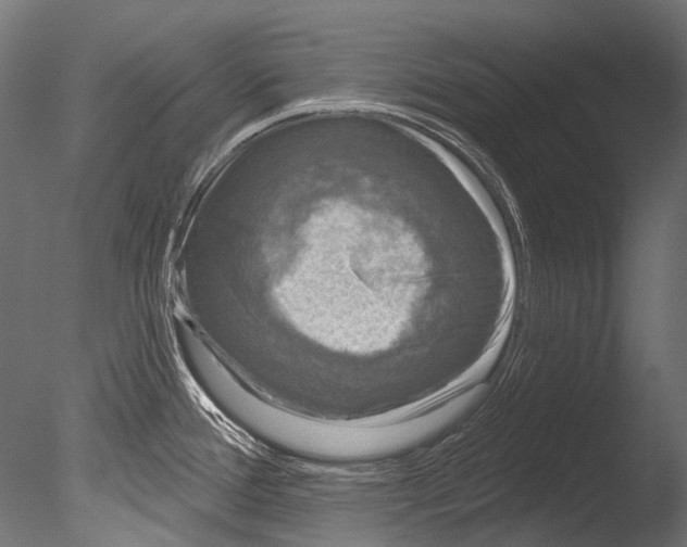 X0000085081388200703261246