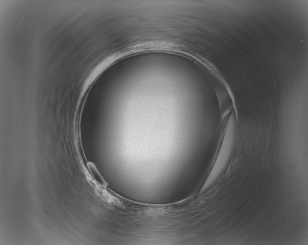 X0000085081389200703261246