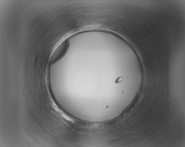 X0000085081390200703261246