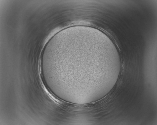 X0000085081391200703261246