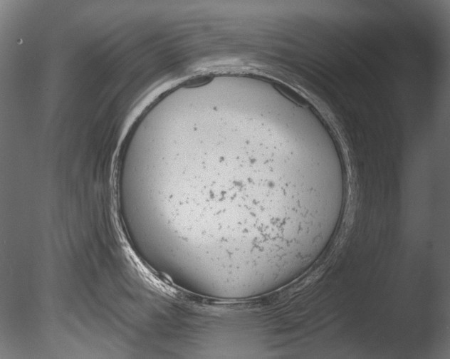 X0000085081392200703261246