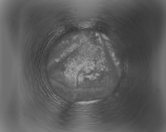 X0000085081393200703261245