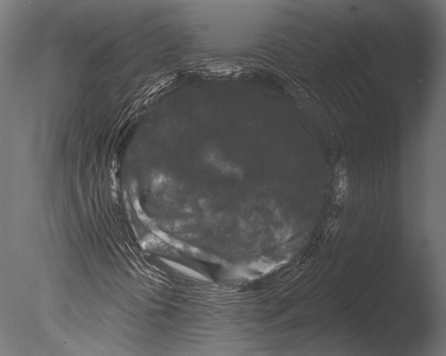 X0000085081394200703261246