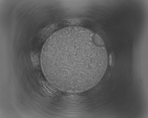 X0000085081395200703261246